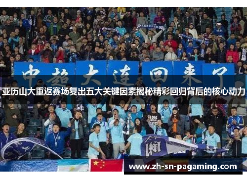亚历山大重返赛场复出五大关键因素揭秘精彩回归背后的核心动力