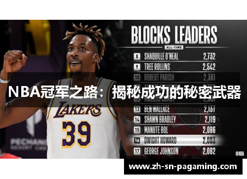 NBA冠军之路：揭秘成功的秘密武器