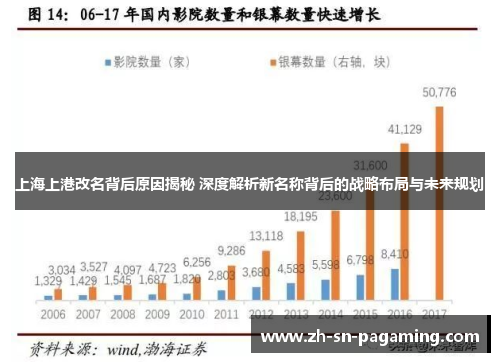 上海上港改名背后原因揭秘 深度解析新名称背后的战略布局与未来规划