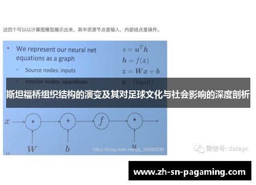 斯坦福桥组织结构的演变及其对足球文化与社会影响的深度剖析