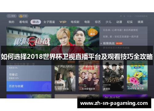 如何选择2018世界杯卫视直播平台及观看技巧全攻略