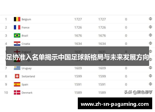 足协准入名单揭示中国足球新格局与未来发展方向