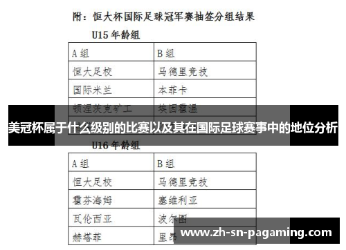 美冠杯属于什么级别的比赛以及其在国际足球赛事中的地位分析